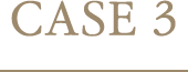 CASE3
