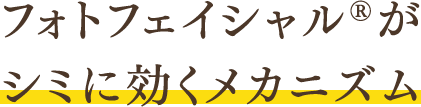 フォトフェイシャル®︎がシミに効くメカニズム